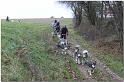 Tour Taunus 260